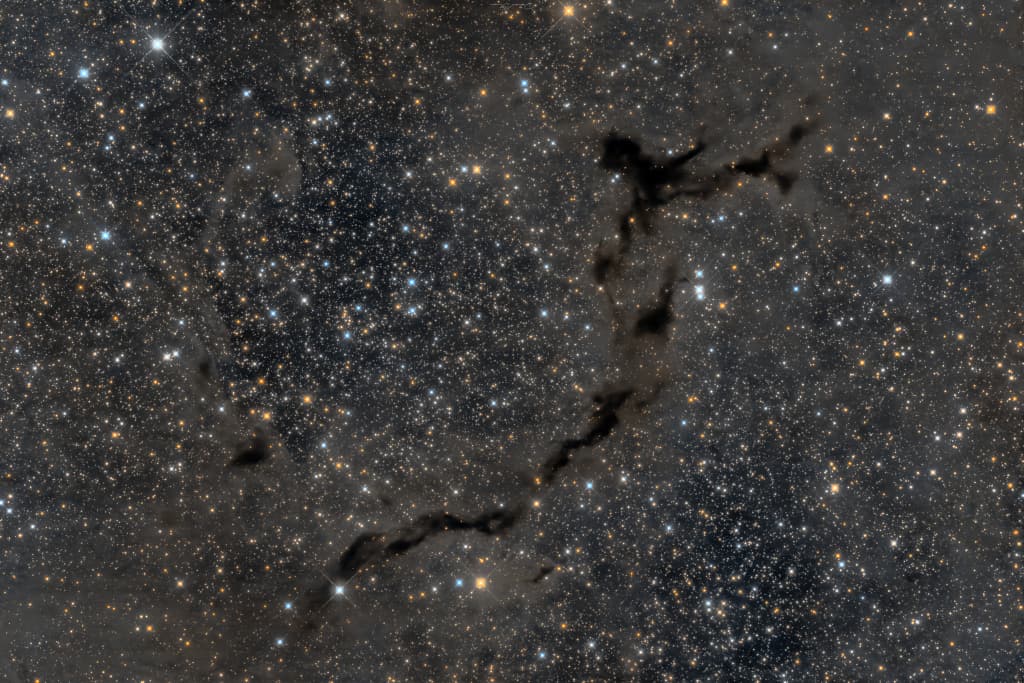 APOD: The Dark Seahorse of Cepheus - September 19, 2024