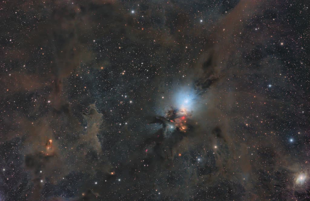 APOD: Stardust in the Perseus Molecular Cloud - January 25, 2025