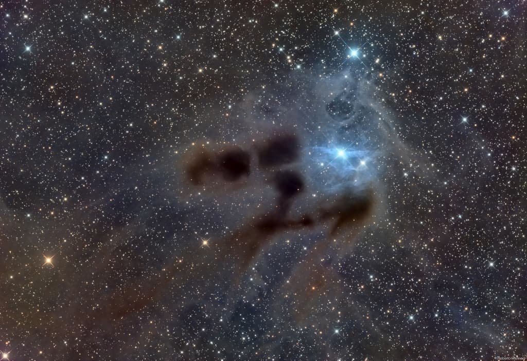 APOD: Reflections on VdB 31 - February 13, 2025