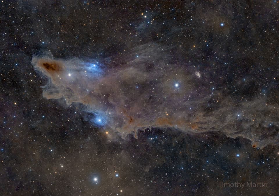 APOD: LDN 1235: The Shark Nebula - March 18, 2025