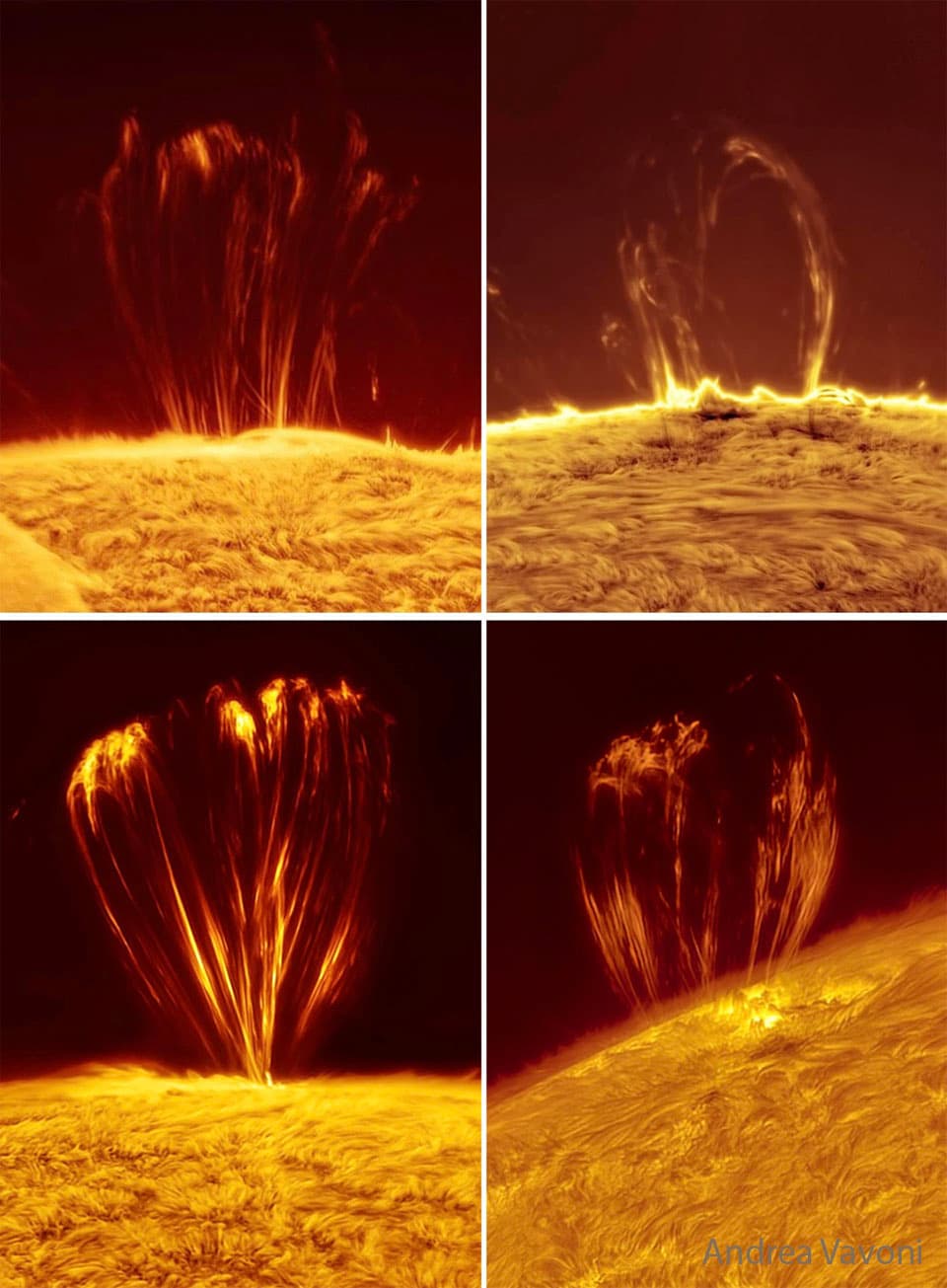 APOD: Coronal Loops on the Sun - July 30, 2025