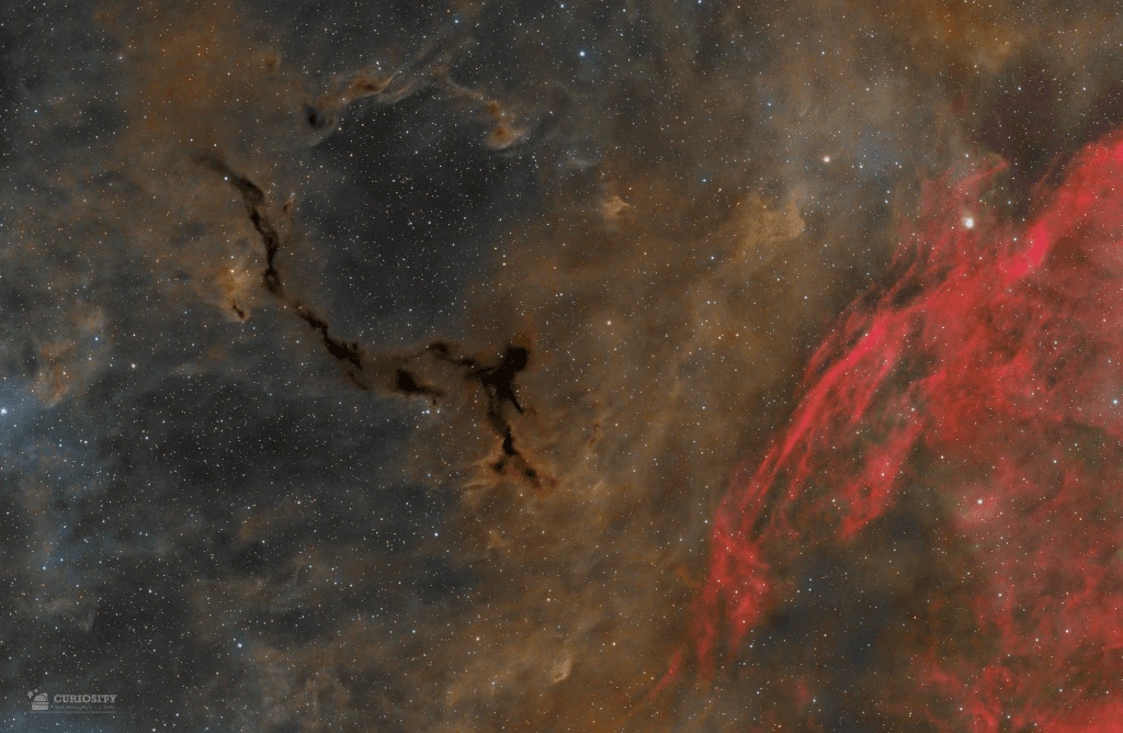APOD: A Dark Seahorse in Cepheus - November 7, 2025