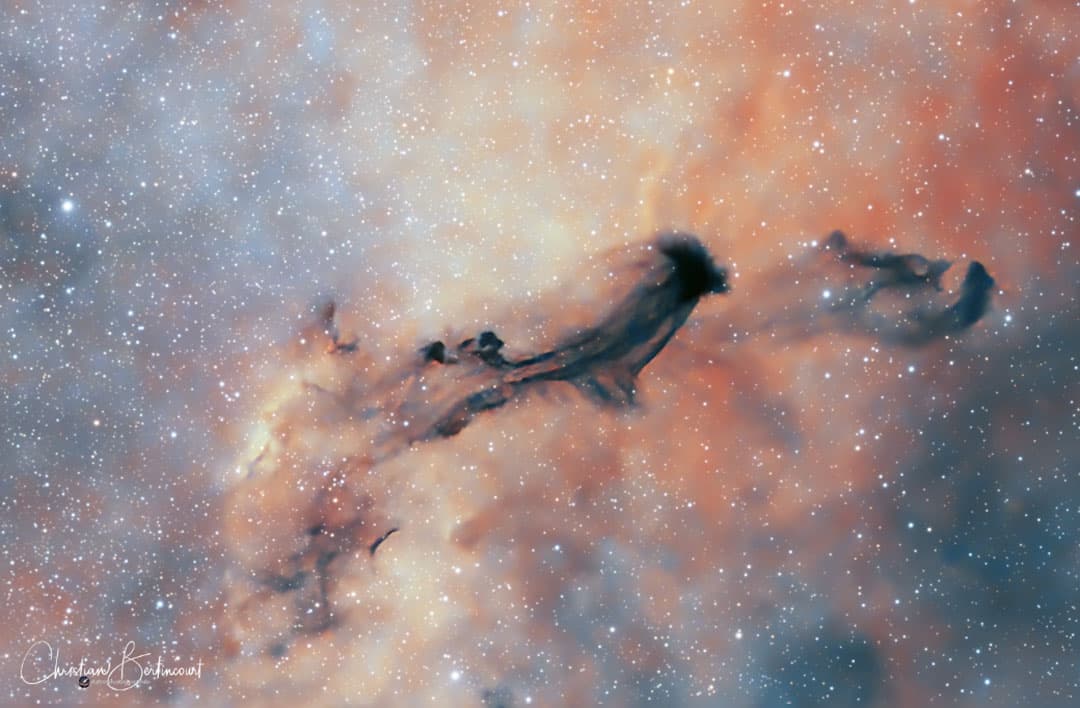 APOD: B93: A Dark Interstellar Ghost - February 20, 2026