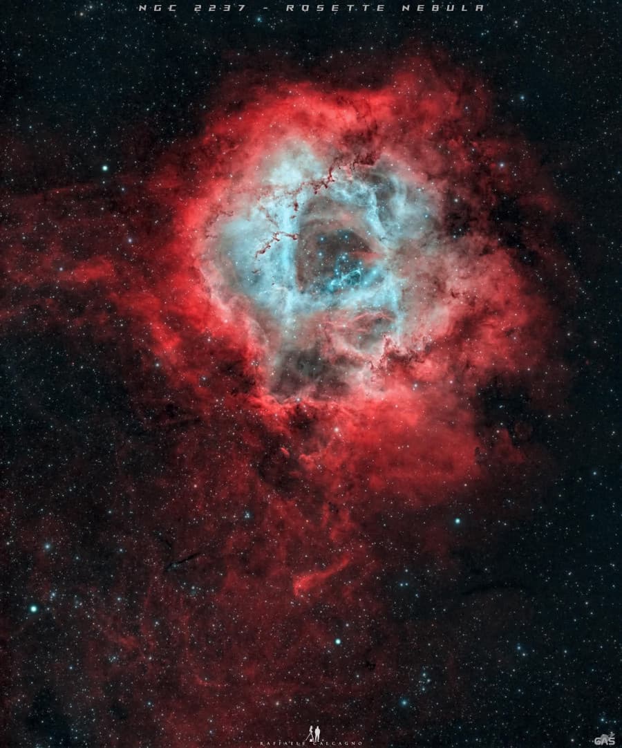 APOD: Roses are Red - February 14, 2026