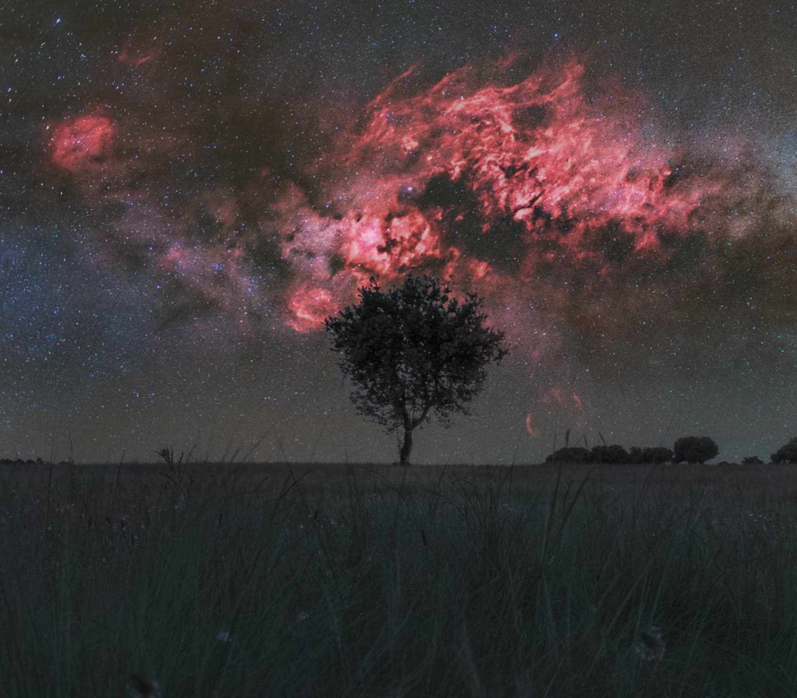 APOD: Cygnus and the Solitary Tree - March 18, 2026