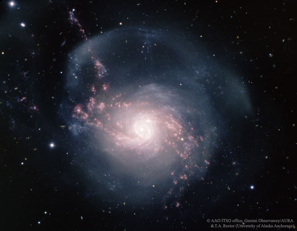 APOD: NGC 3310: A Starburst Spiral Galaxy - April 5, 2026