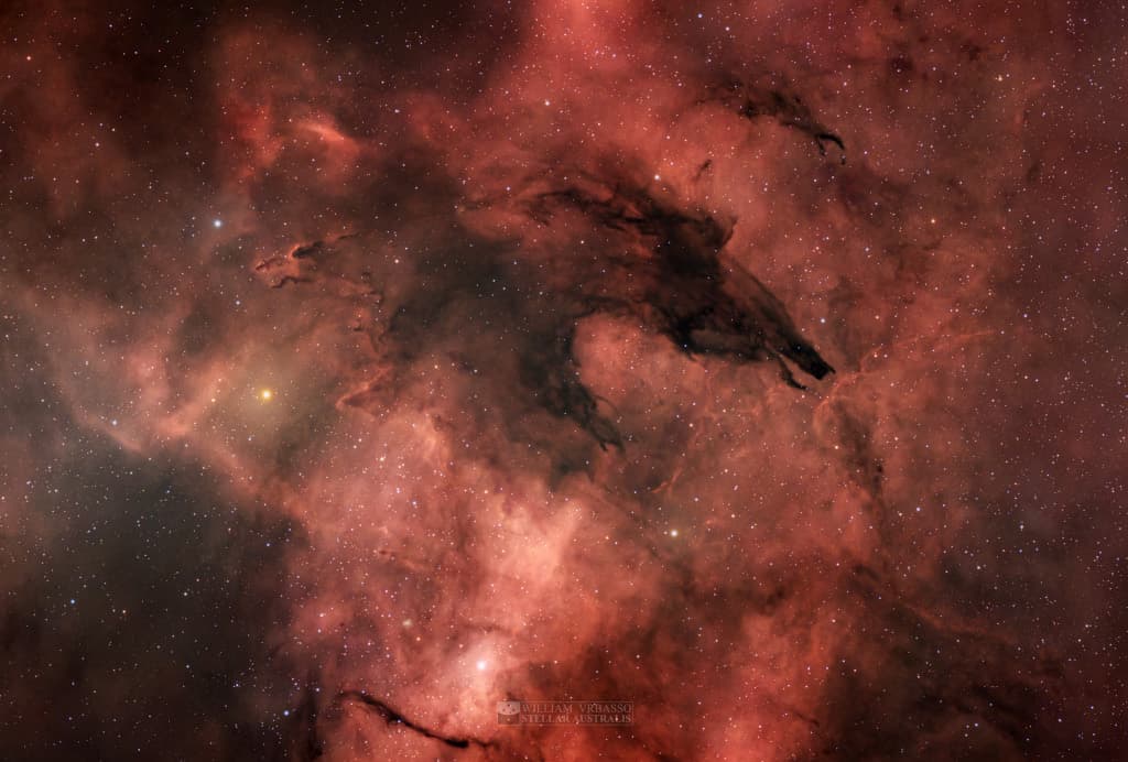 APOD: The Dark Wolf Nebula - May 20, 2026