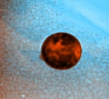 NASA APOD June 23, 1997: Eruption on Io