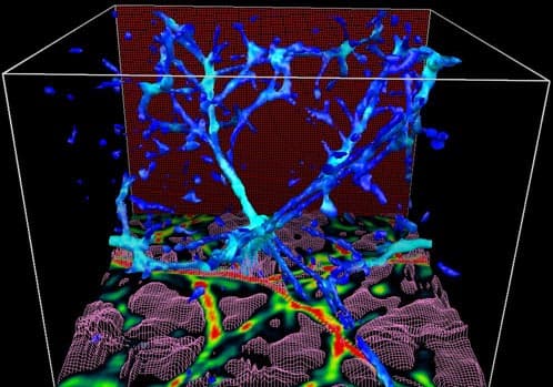 APOD: A Universe in a Box - August 21, 1997