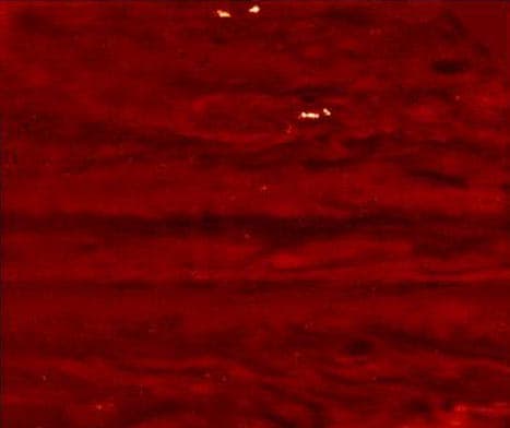 APOD: Night Lightning on Jupiter - December 16, 1997