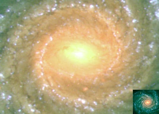 APOD: Spiral Galaxy NGC 1232 - September 30, 1998