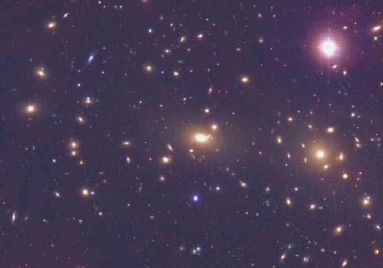 APOD: The Coma Cluster of Galaxies - March 28, 1999