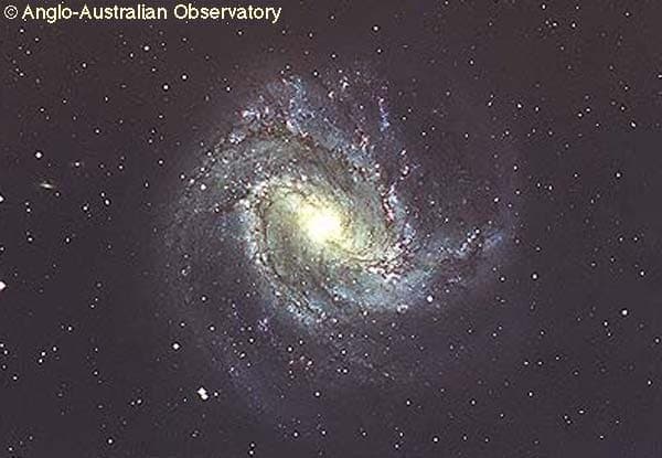 APOD: M83: A Barred Spiral Galaxy - September 26, 1999
