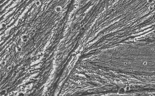 APOD: Galileo Photographs Ganymede - July 10, 1996