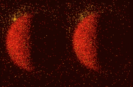 APOD: X-ray Moon and X-ray Star - February 27, 1996