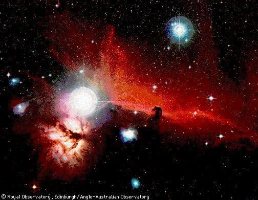 APOD: Orion's Horsehead Nebula - October 25, 1997