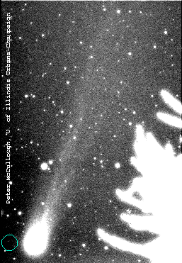 NASA APOD March 25, 1996: Comet Hyakutake Passes the Earth
