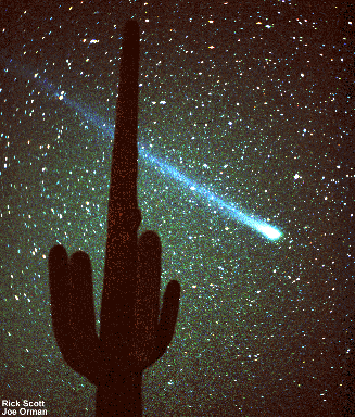 NASA APOD May 1, 1996: Comet Hyakutake and a Cactus