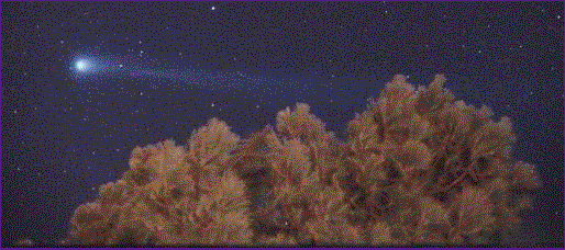 APOD: Comet Hyakutake and a Tree - April 10, 1996