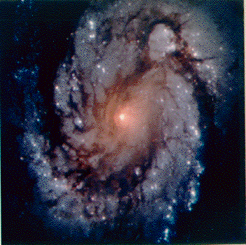 NASA APOD June 26, 1995: Spiral Galaxy M100