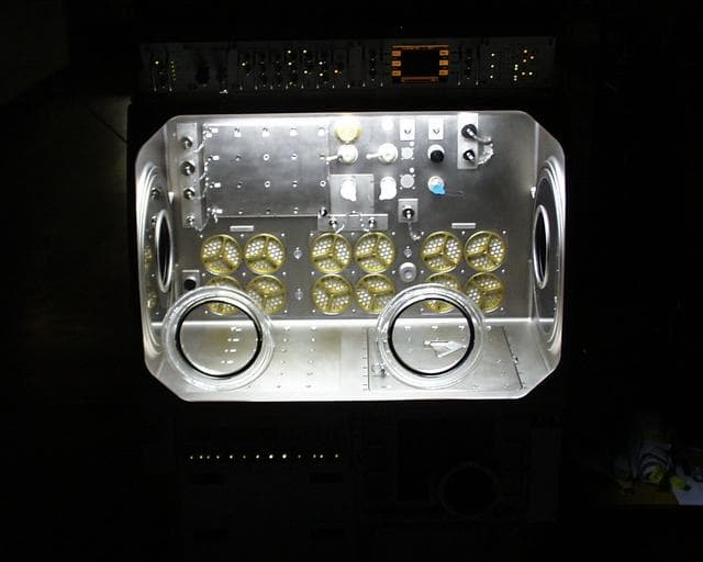 Microgravity