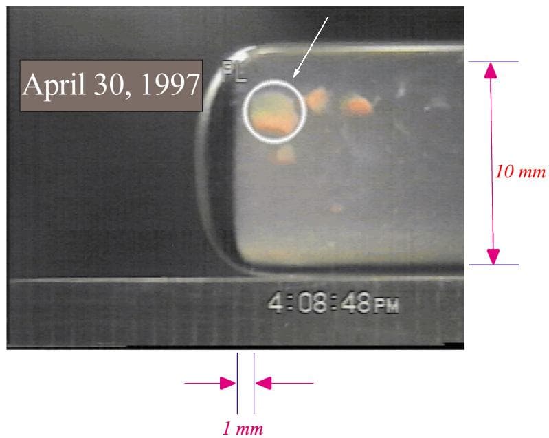 NASA image: Microgravity