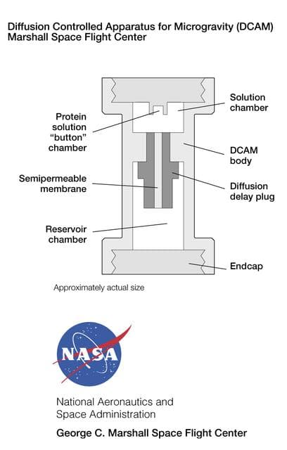 Microgravity