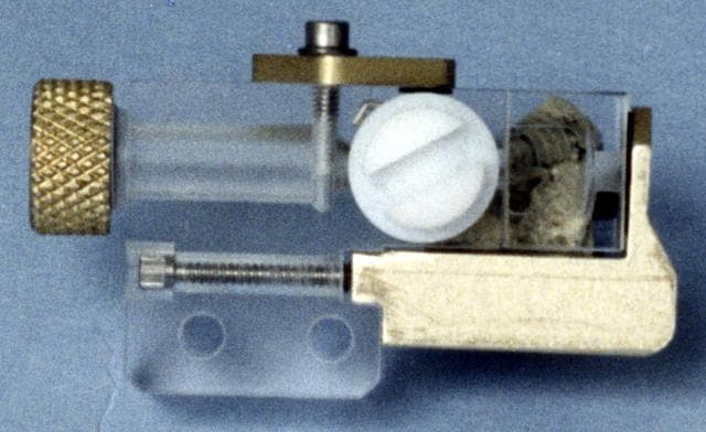 Microgravity