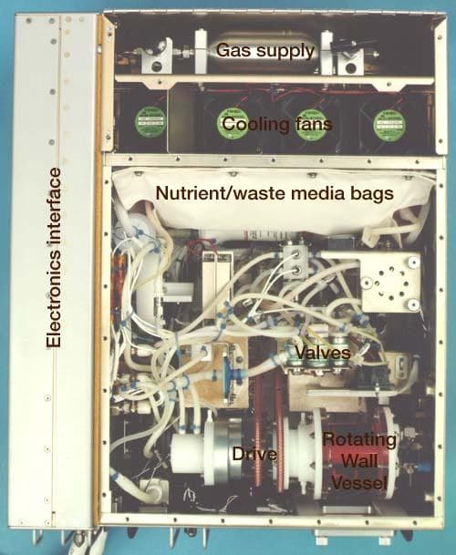 NASA image: Microgravity