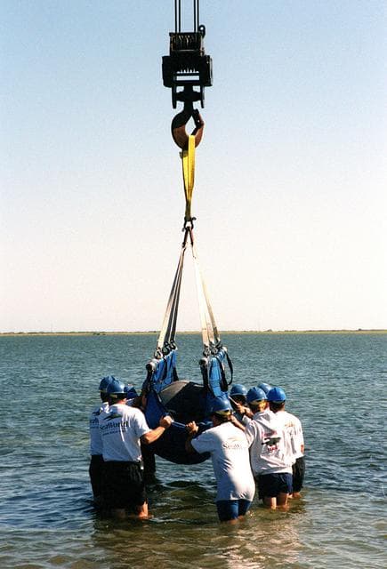 NASA image: KSC-01PP-0684