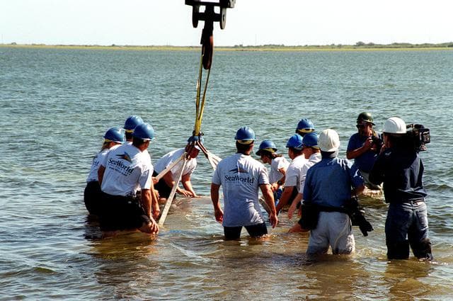 NASA image: KSC-01PP-0685