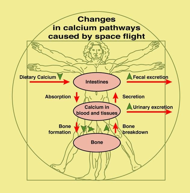 NASA image: Biotechnology