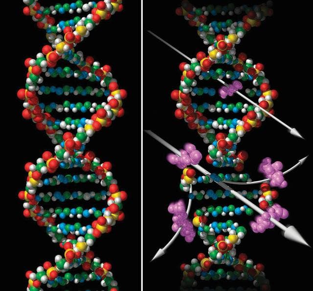 NASA image: Biotechnology