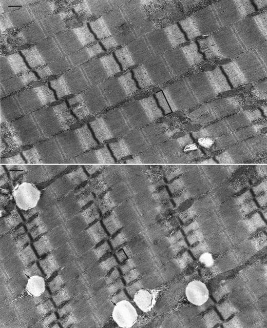 NASA image: Biotechnology