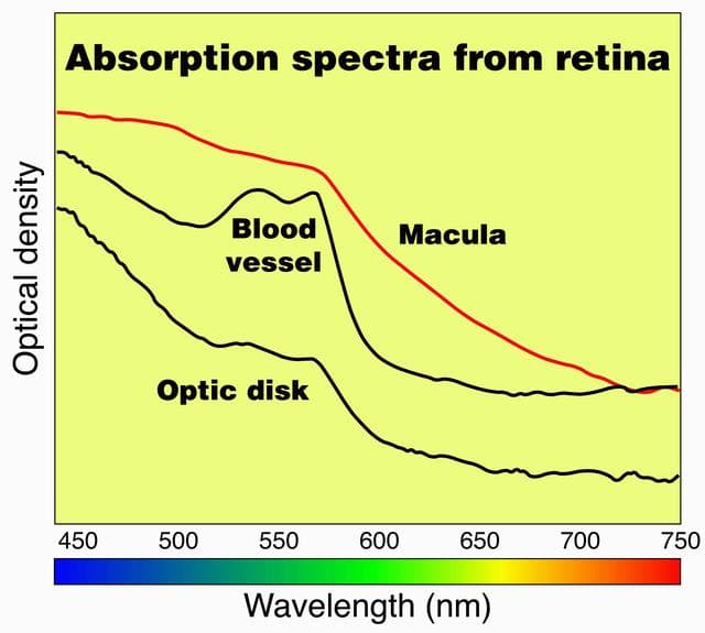 NASA image: Biotechnology