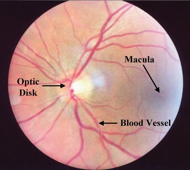 NASA image: Biotechnology