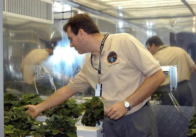 NASA image: KSC-04pd-2549