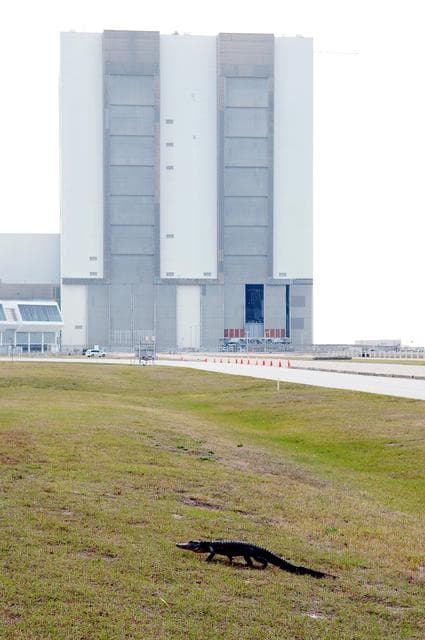 NASA image: KSC-05pd-0309