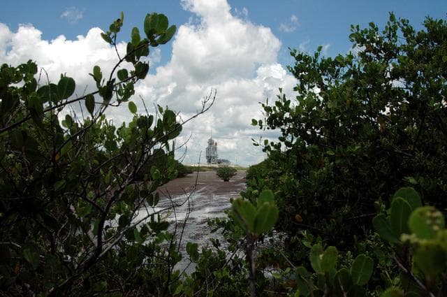 NASA image: KSC-05pd-1573