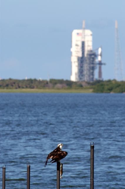 NASA image: KSC-05PP-1884