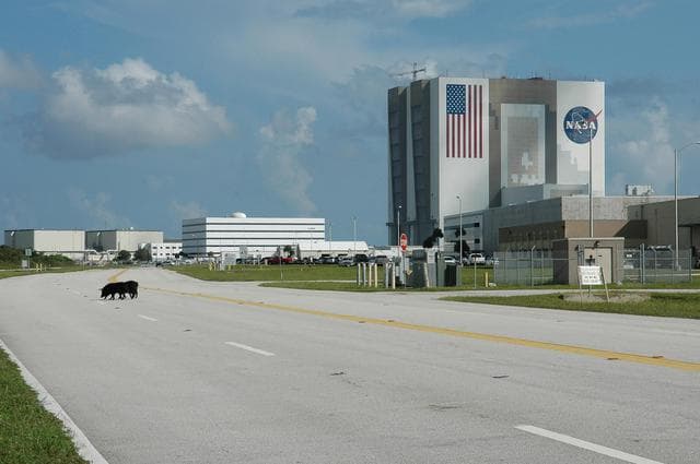NASA image: KSC-05PD-2260
