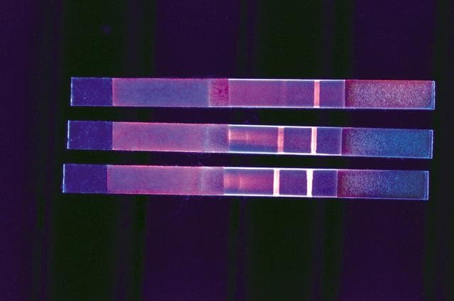NASA image: Material Science