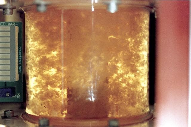 NASA image: Biotechnology