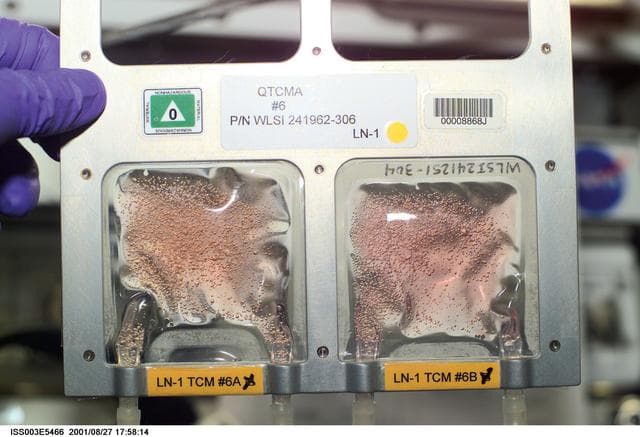 NASA image: Biotechnology