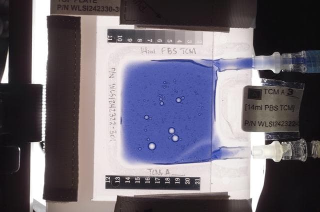 NASA image: Biotechnology