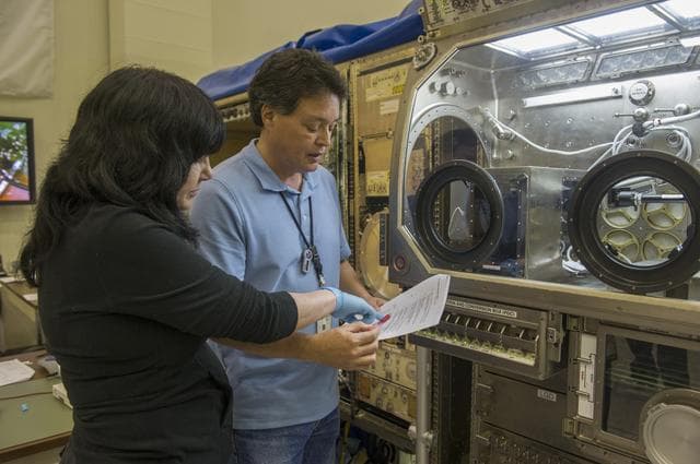 NASA image: 1400498