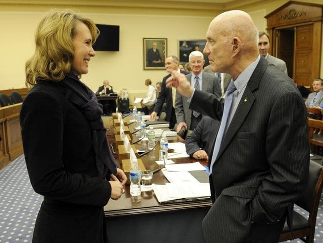 NASA image: Human Spaceflight Safety Hearing