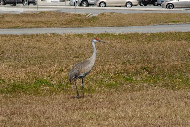 NASA image: KSC-2010-2222