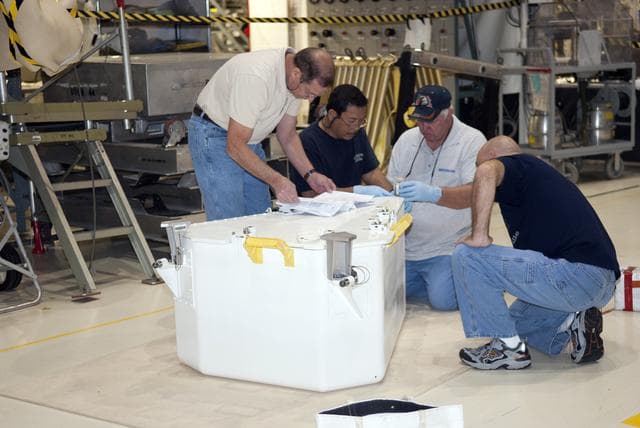 NASA image: KSC-2010-2381