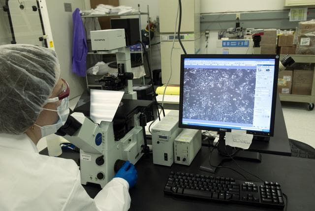 NASA image: 2010-2425